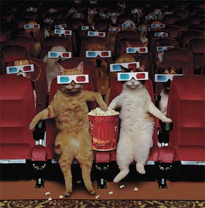 catsin3D